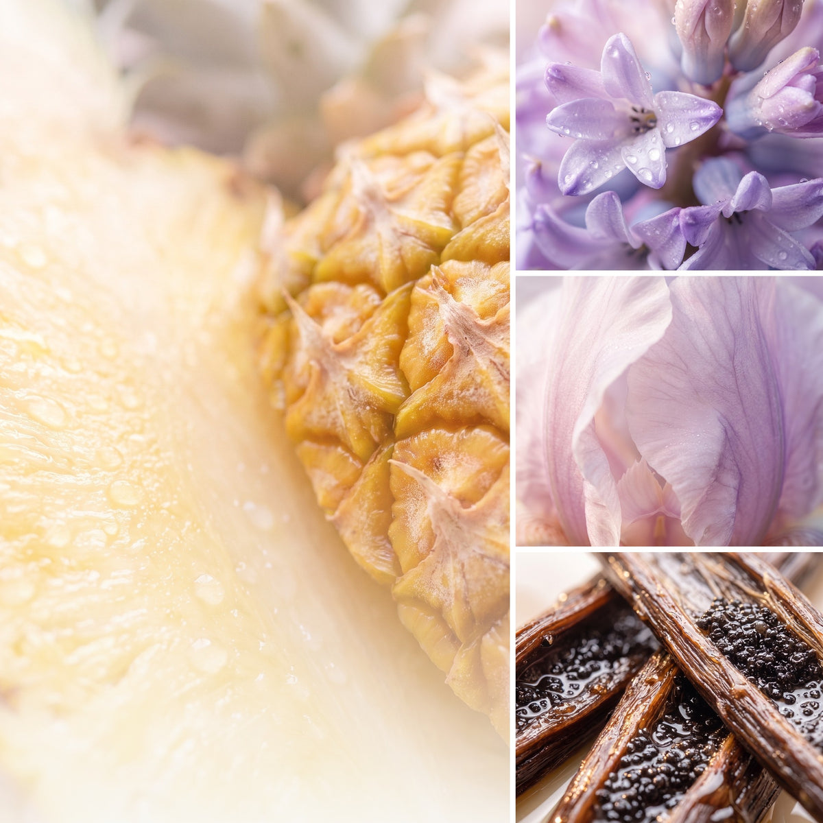 ÉPRIS N°187 · Das Gefühl – Duftnoten Ananas, Hyazinthe, Iris, Vanille. Fruchtig. Blumig. Elegant.
