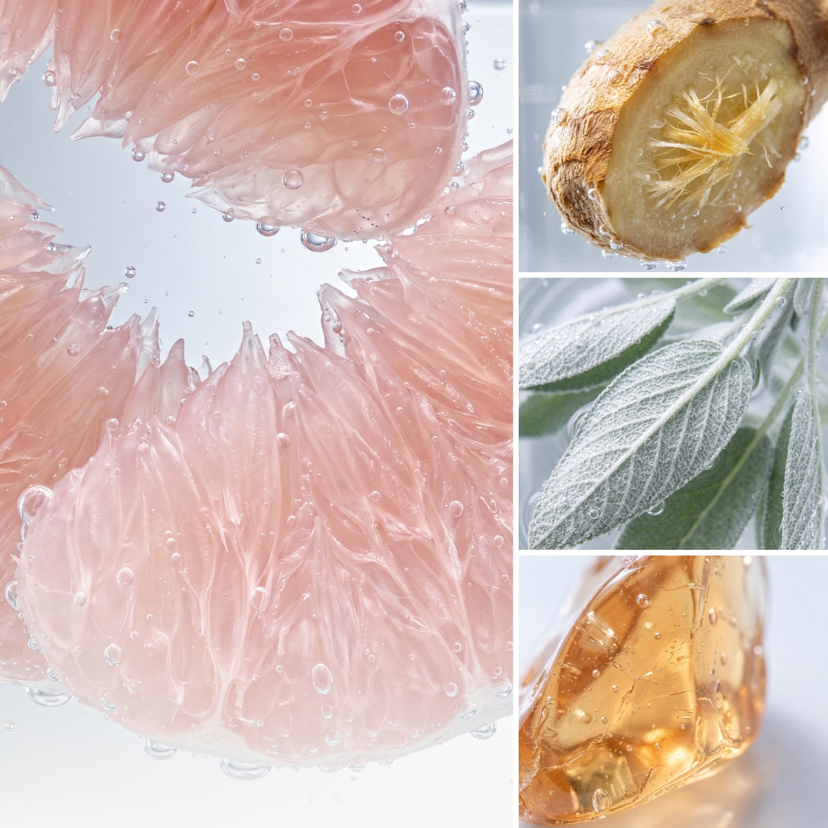 ÉPRIS N°454 · Das Gefühl – Duftnoten Grapefruit, Ingwer, Salbei, Amber. Markant. Frisch. Unendlich.