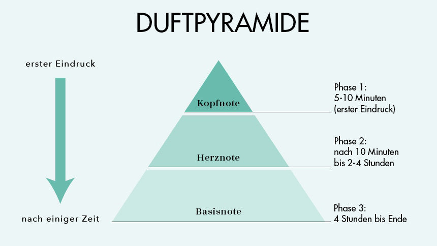 Die Duftpyramide: Aufbau von Kopf-, Herz- und Basisnoten