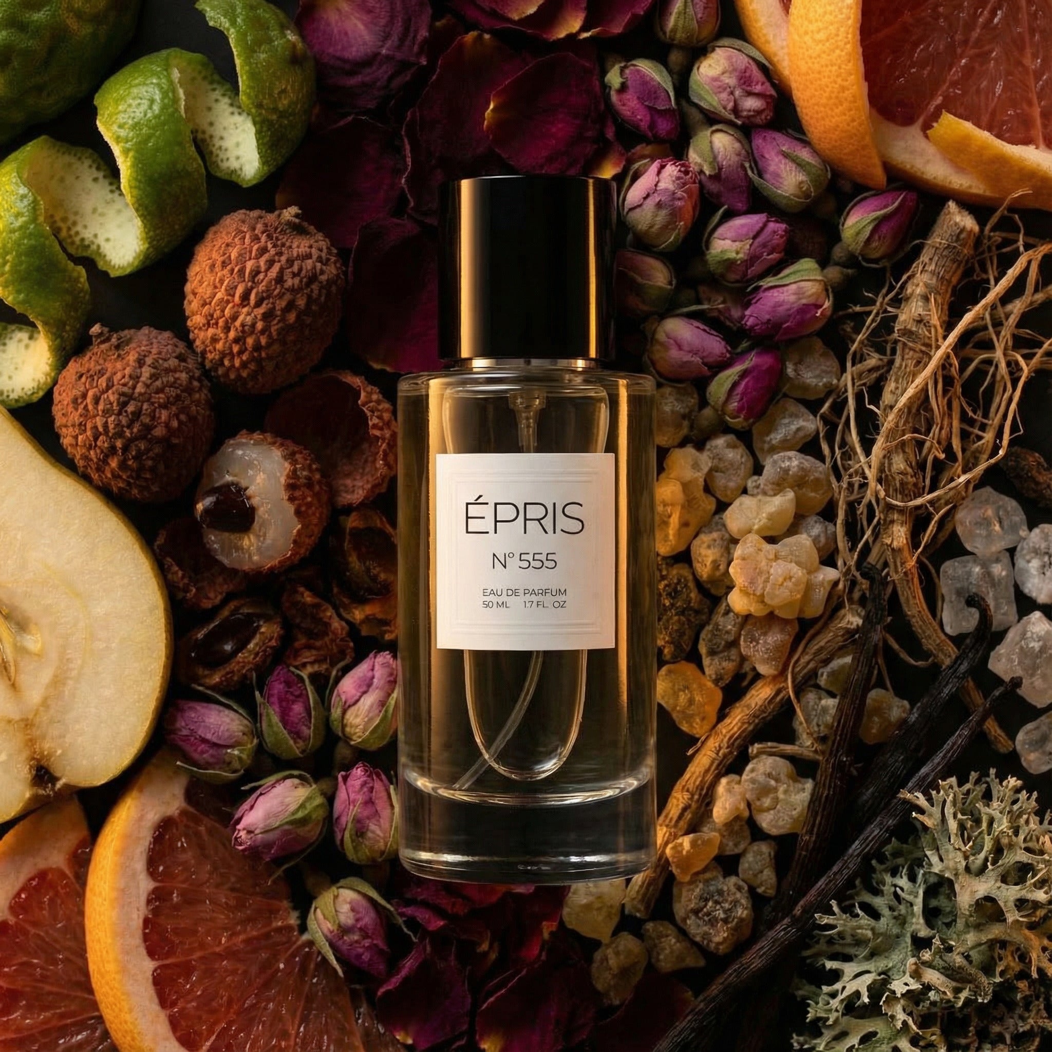 DALINELLA EXLUCIO - N°555