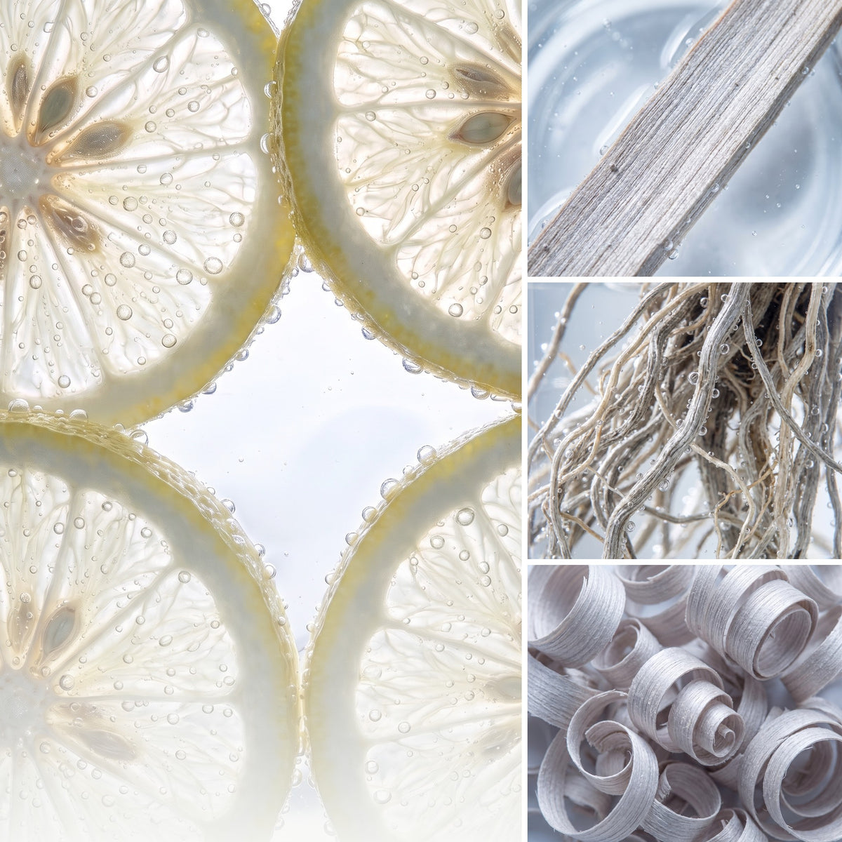 ÉPRIS N°101 · Das Gefühl – Duftnoten Zitrone, Zeder, Vetiver, Sandelholz. Aromatisch. Holzig. Zeitlos.