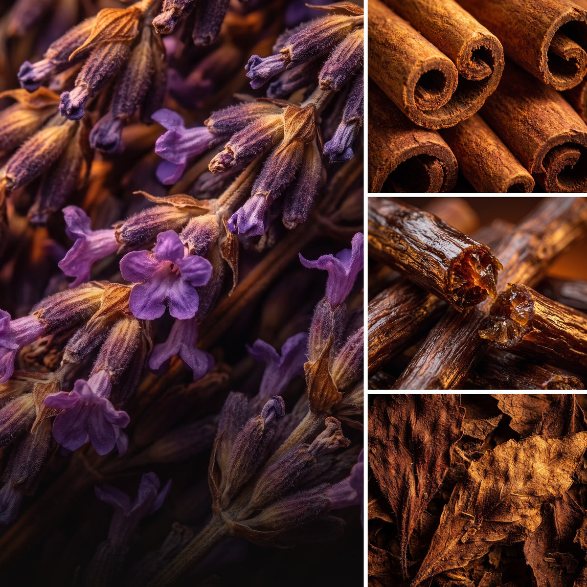 ÉPRIS N°111 · Das Gefühl – Duftnoten Lavendel, Zimt, Lakritz, Patchouli. Würzig. Dunkel. Intensiv.