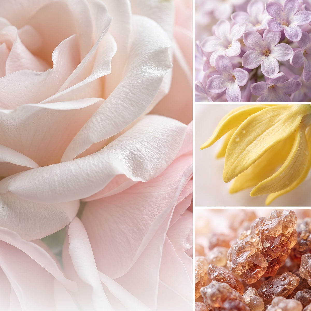 ÉPRIS N°181 · Das Gefühl – Duftnoten Rose, Heliotrop, Ylang-Ylang, Myrrhe. Cremig. Blumig. Süchtig.