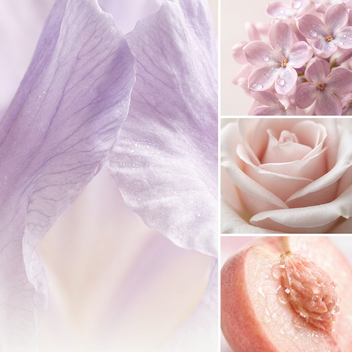 ÉPRIS N°565 · Das Gefühl – Duftnoten Iris, Veilchen, Rose, Pfirsich. Romantisch. Blumig. Zart.